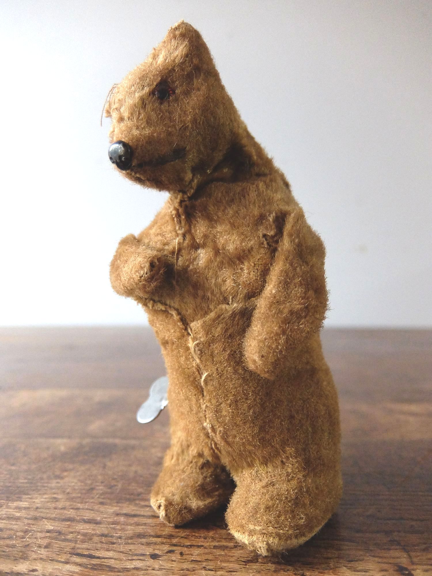 Automatical Bear (A1019)