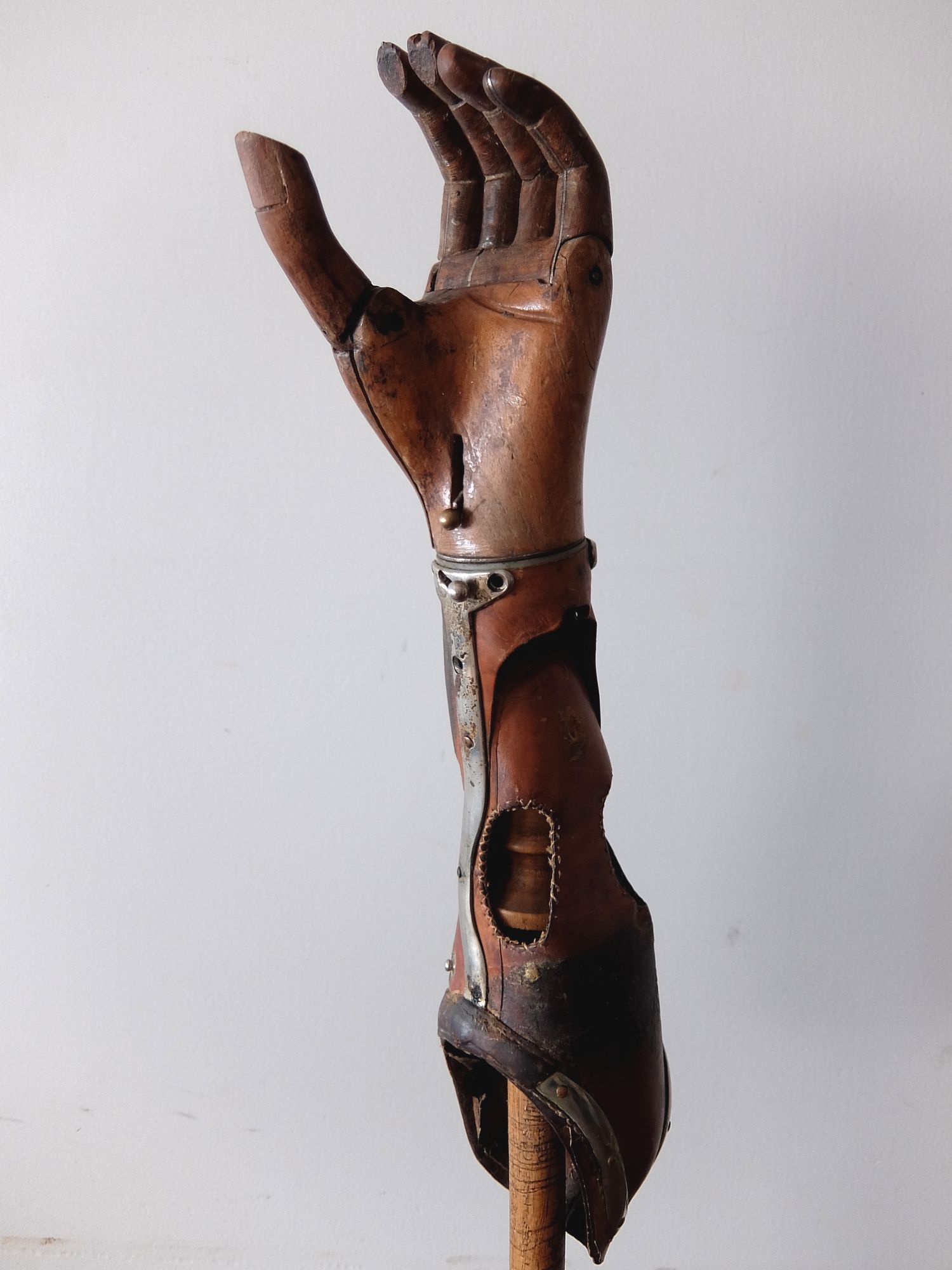 Prosthetic Hand (A1220)