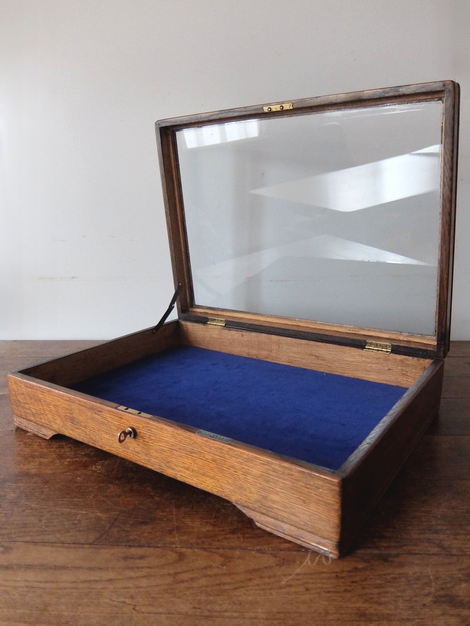 Display Case (A1022)