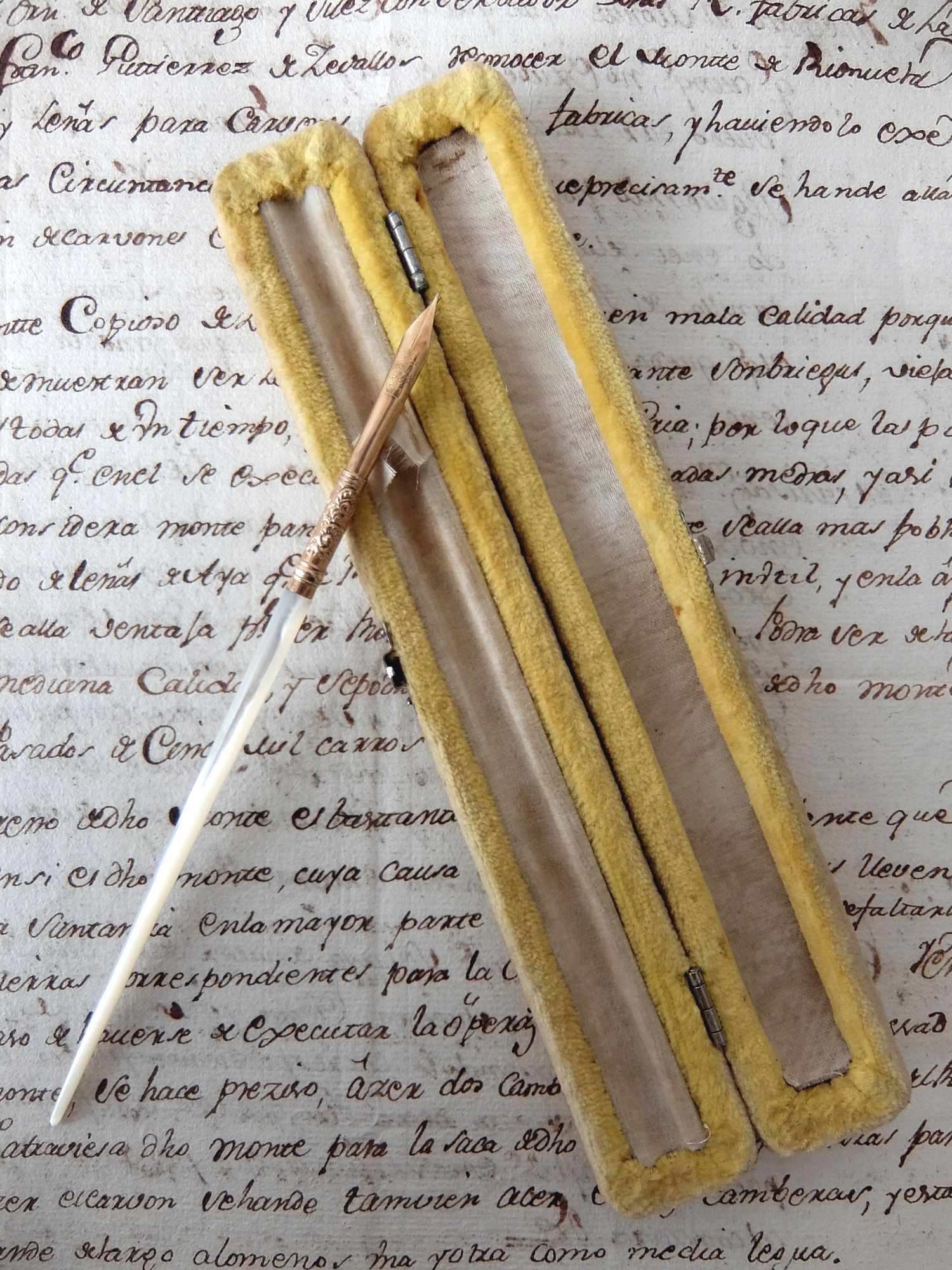 Mother of Pearl Pen with Case (A0218)