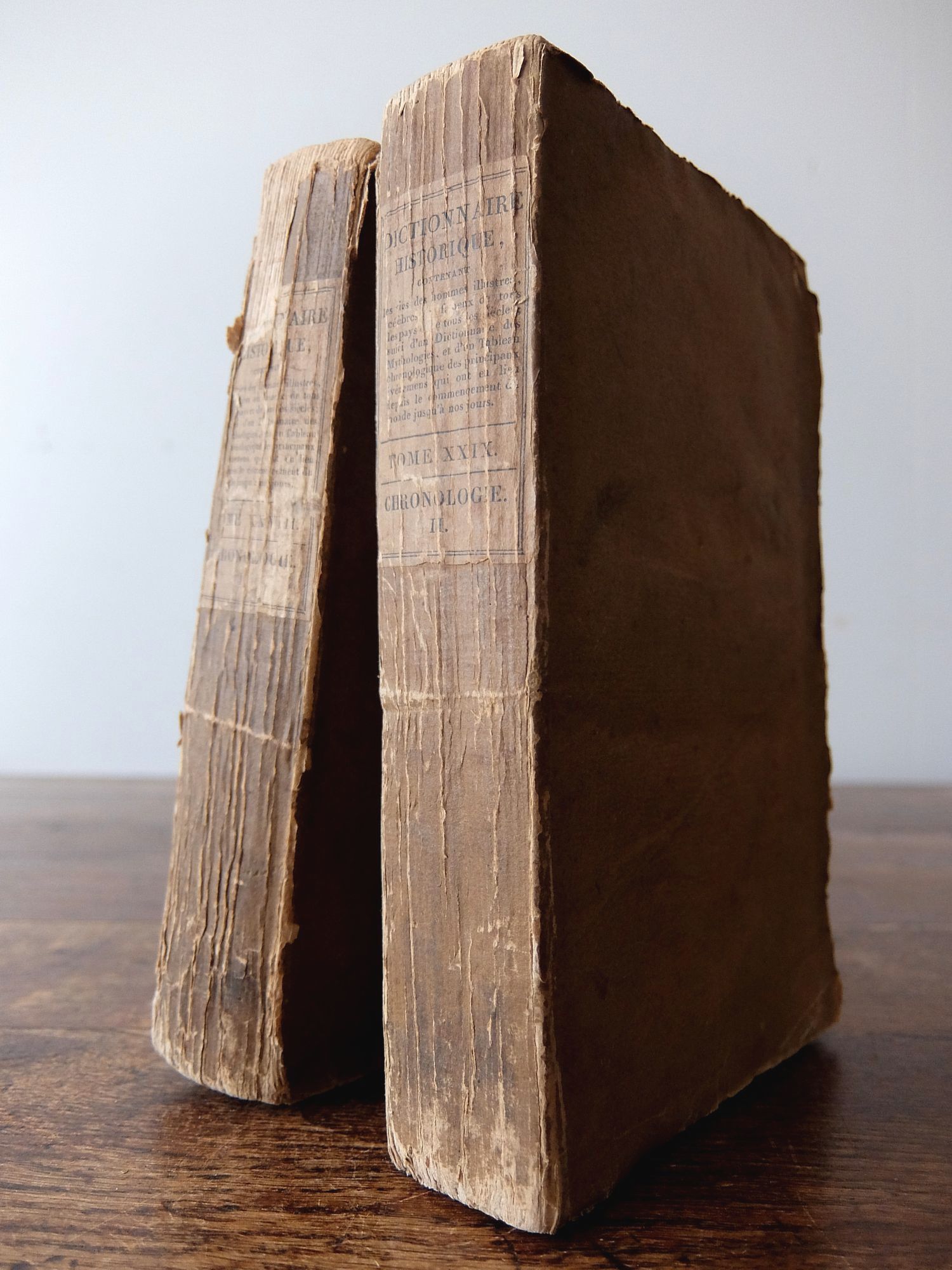 Antique Books 【2 pcs】 (C0617)