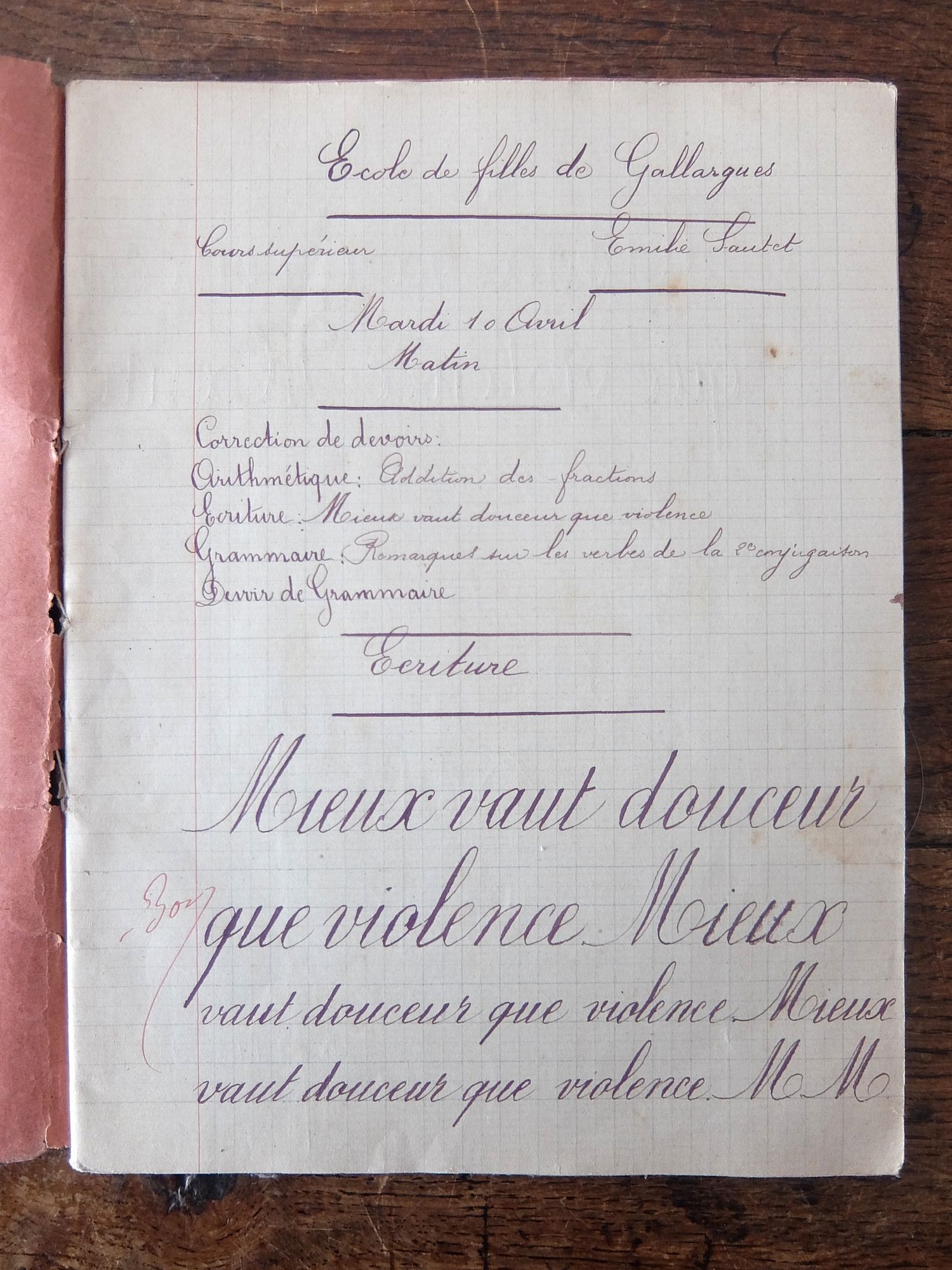 Manuscript's Book (A0426-01)