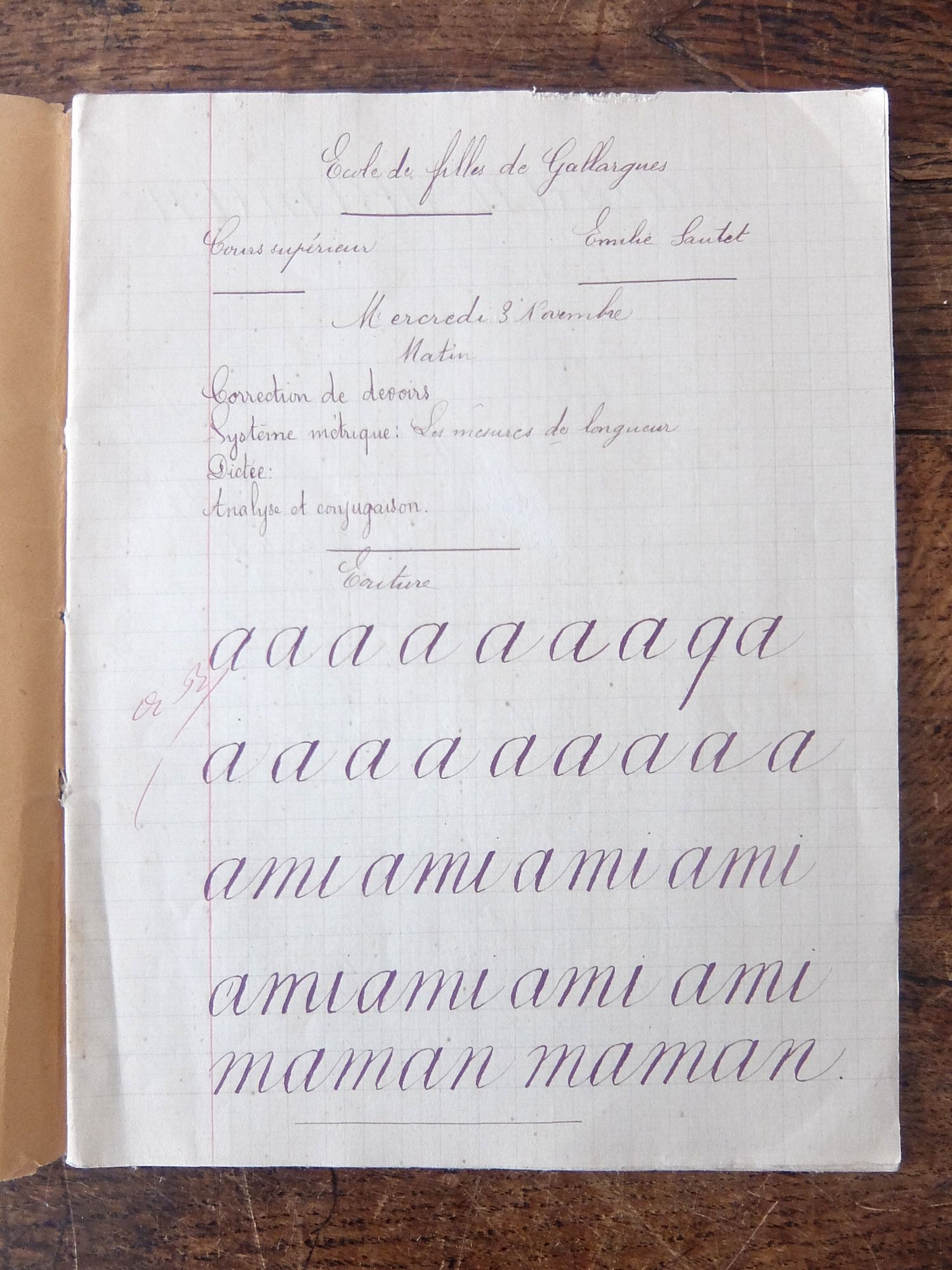 Manuscript's Book (A0426-02)