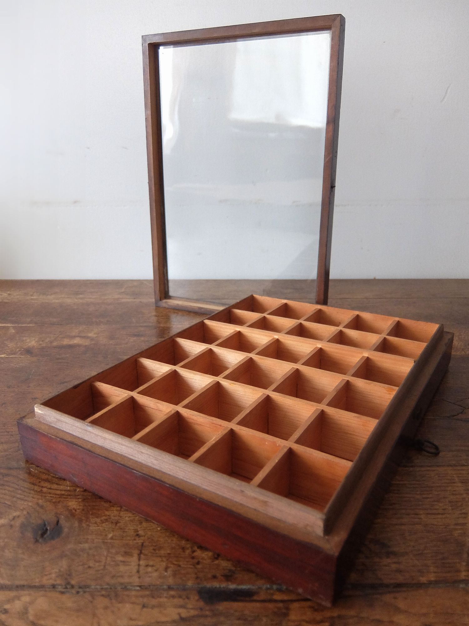 Display Case (A0526)