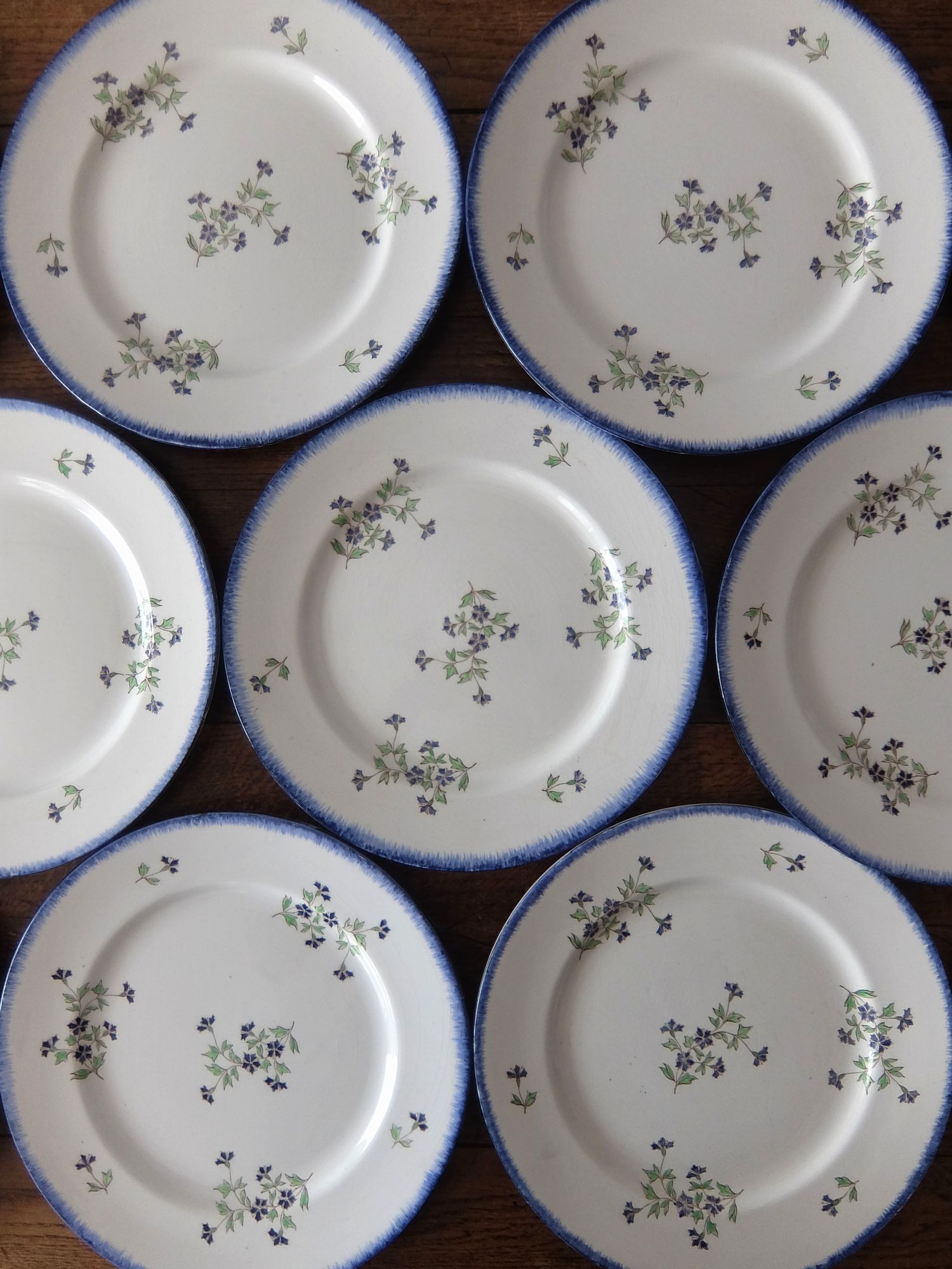 Creil Montereau Plate 【Barbeau】 (A0525)