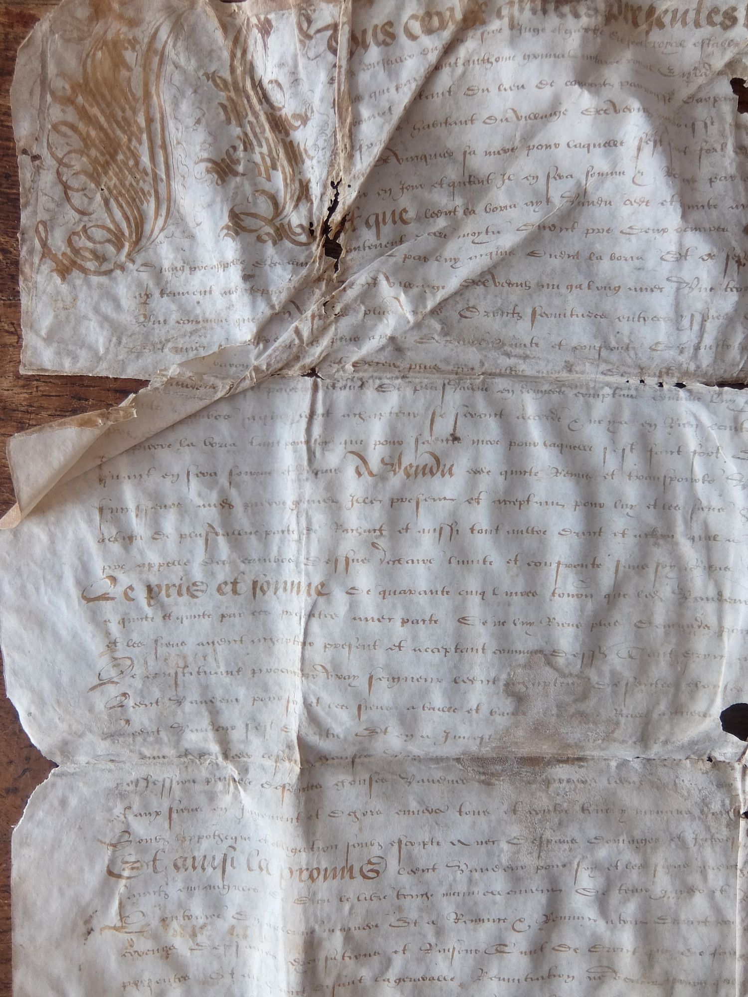 Manuscript (A0626-02)