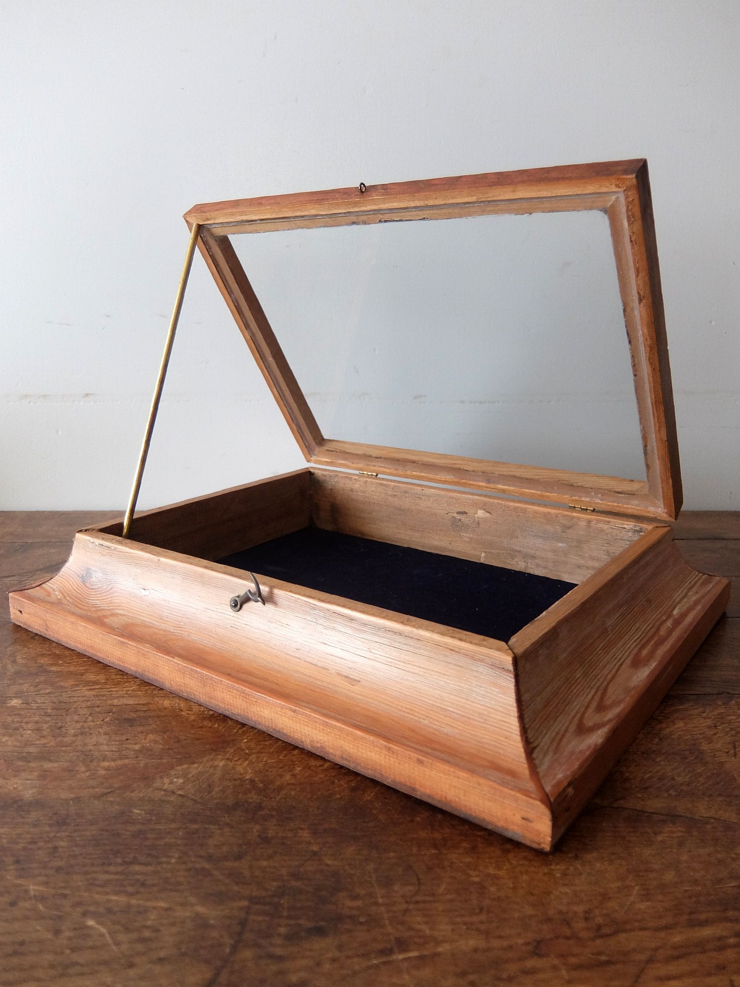 Display Case (A0625)