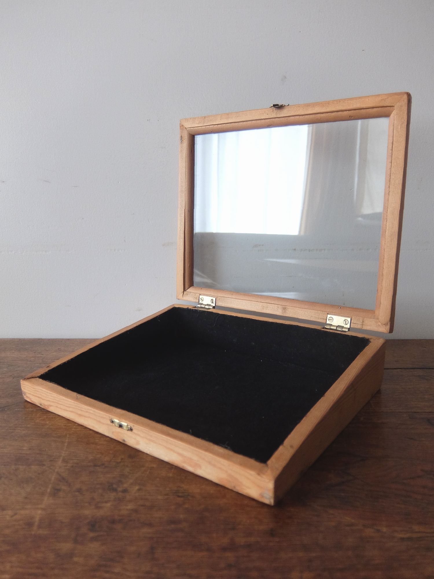 Display Case (A0726)
