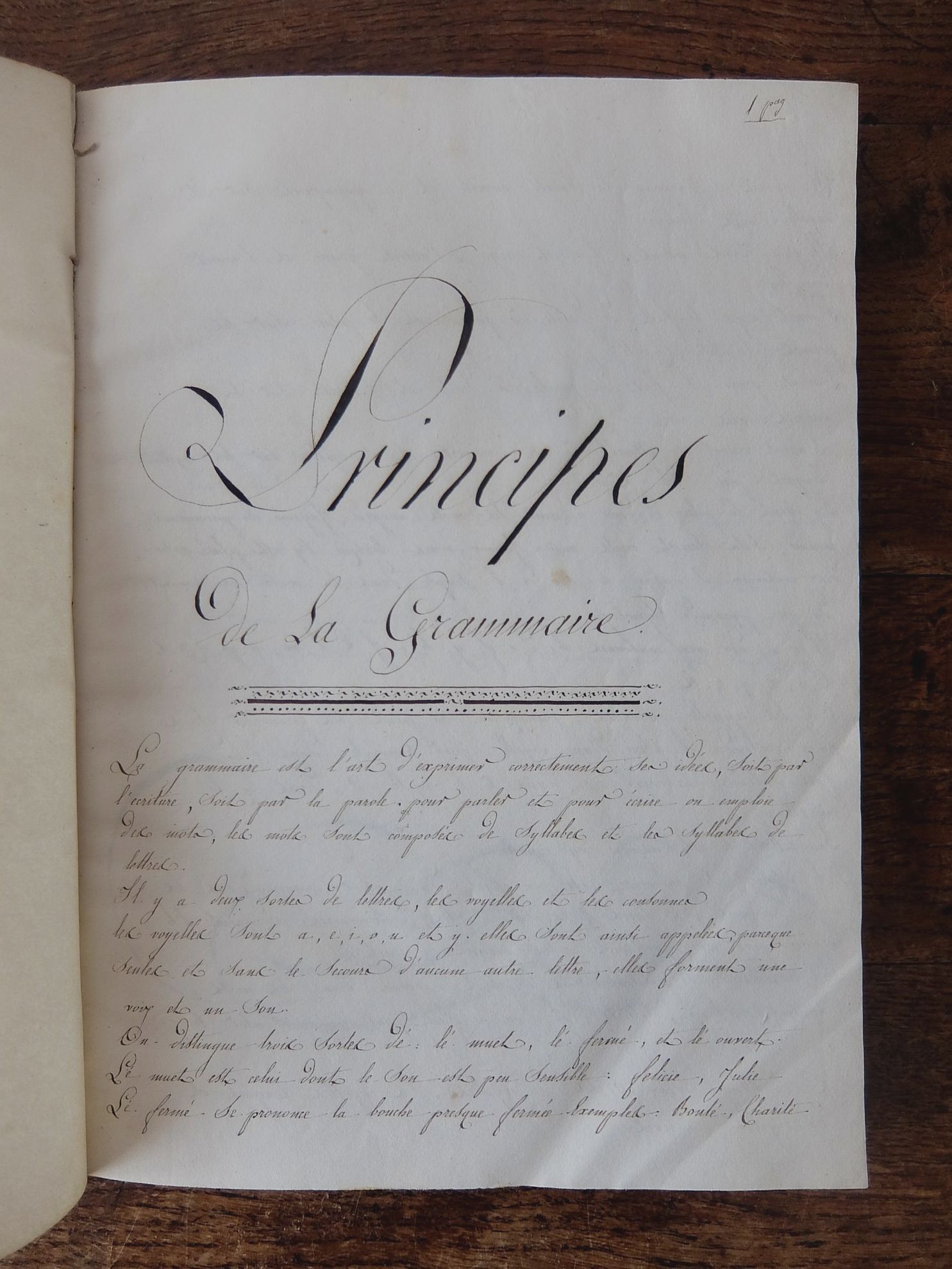 Manuscript's Book (D0617)