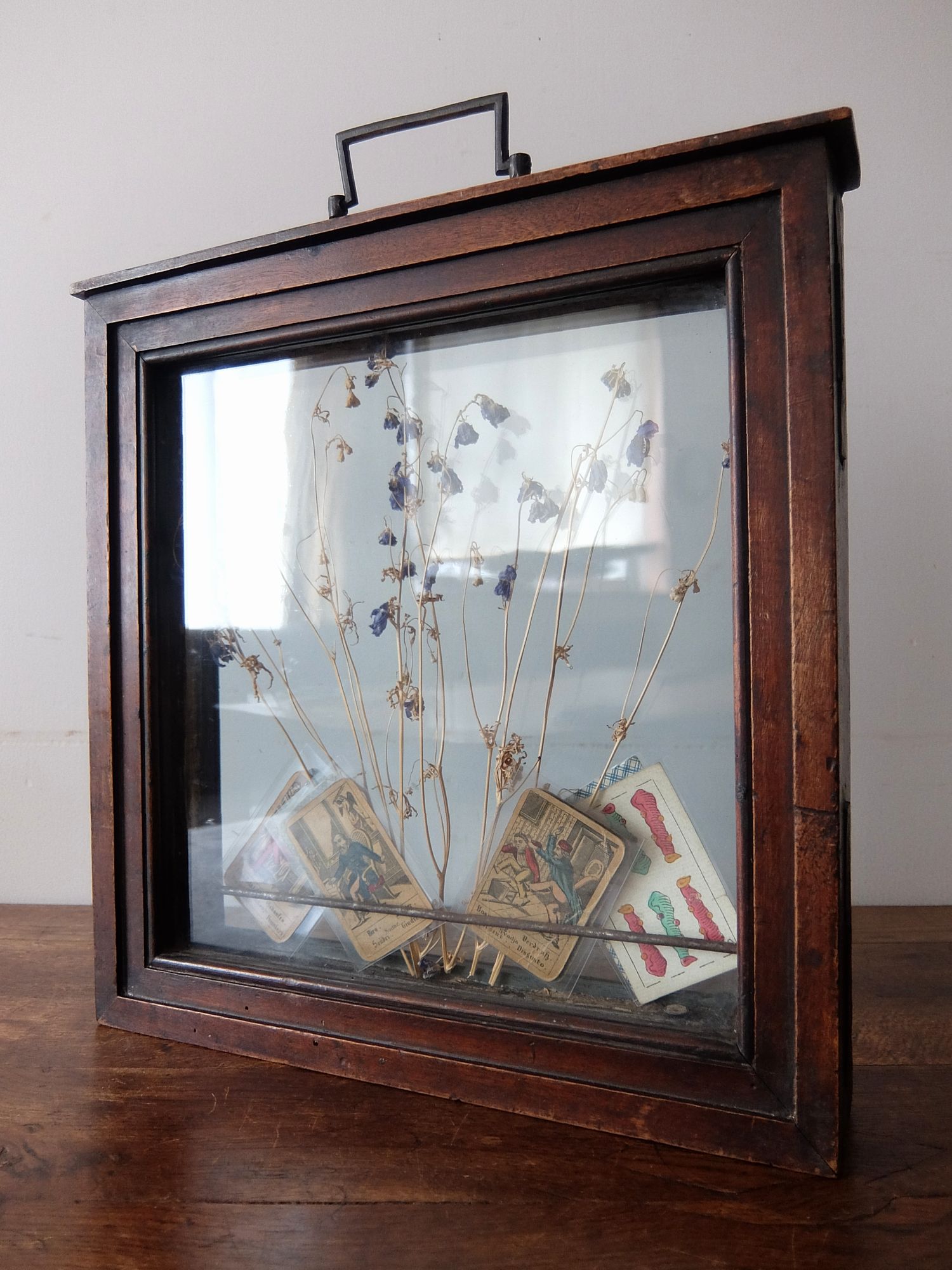 Display Case (A0525)