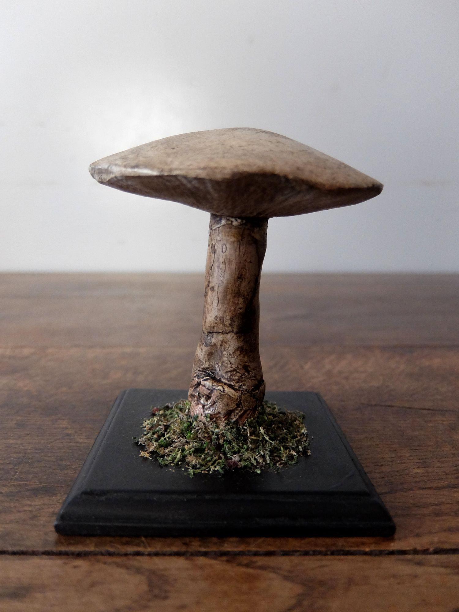 Mushroom Model (B0320-04)