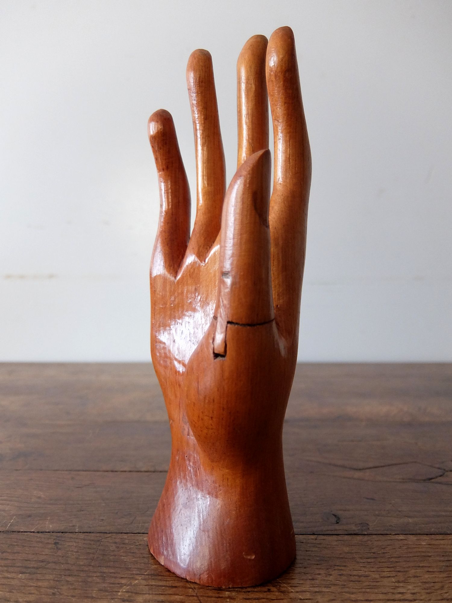 Glove Hand Display (A0421-02)