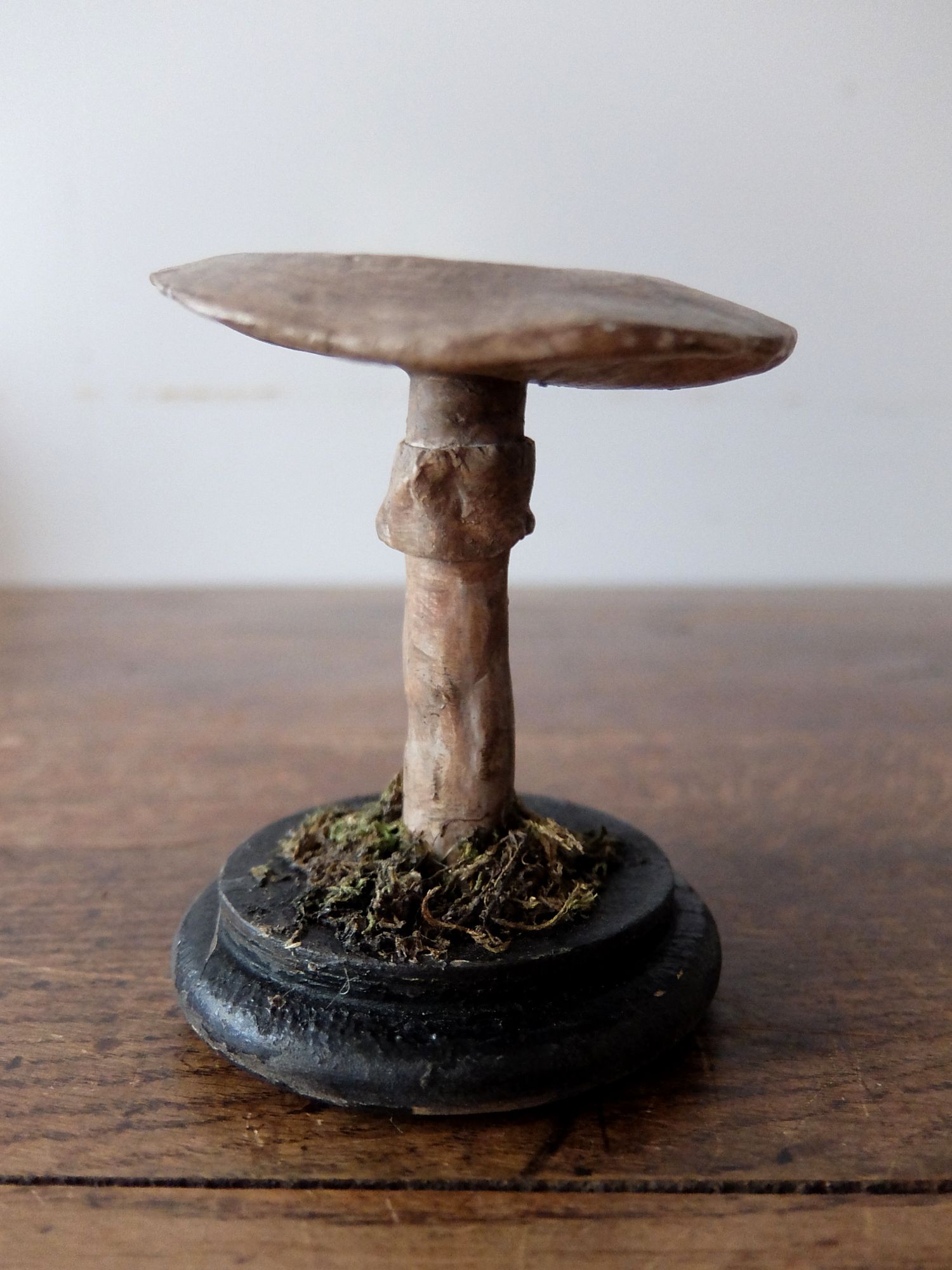 Mushroom Model (A0320-01)