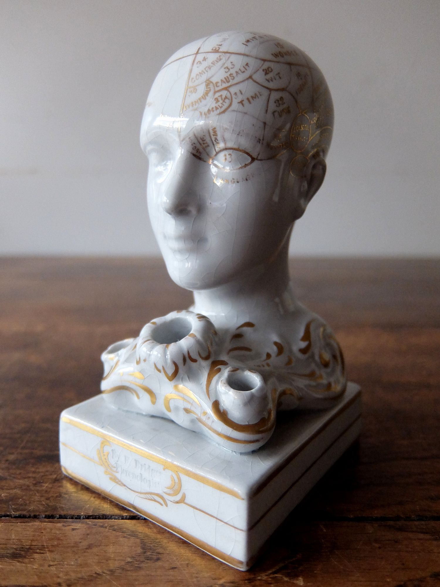 Phrenology Head (C0822)