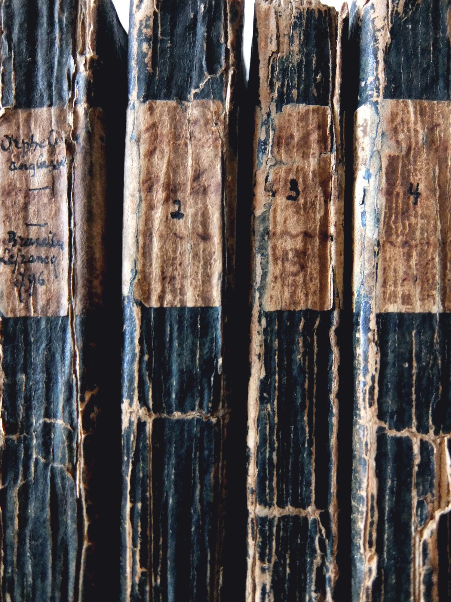 Antique Books 【4 pcs】 (B0115)