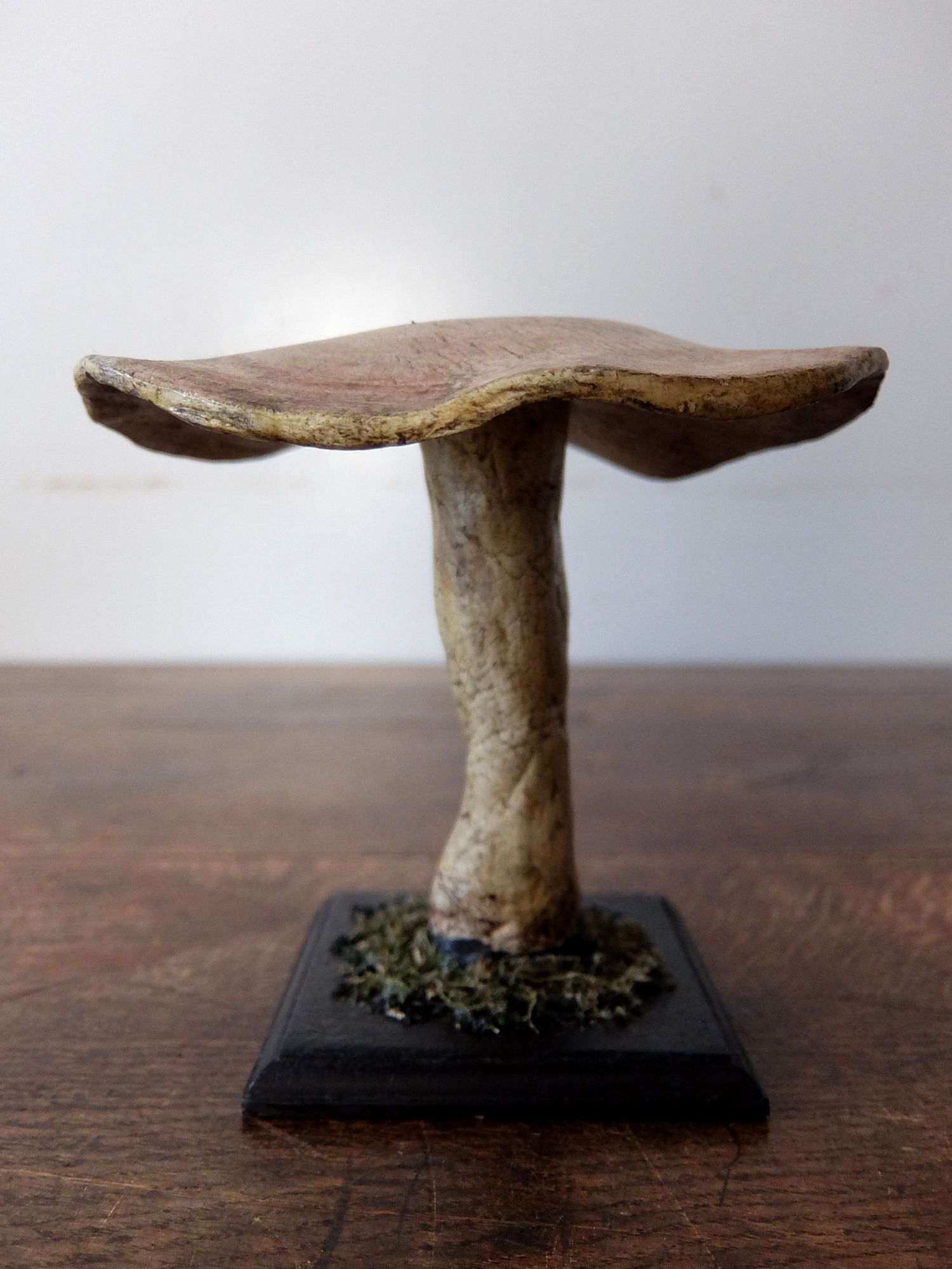 Mushroom Model (B0320-03)