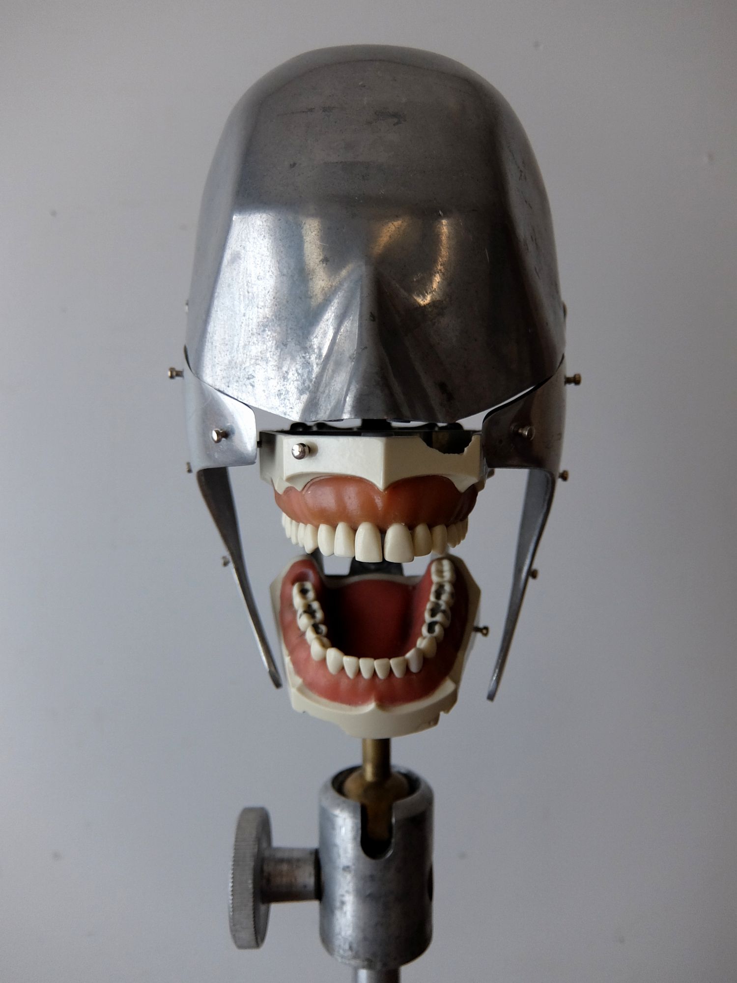 Dental Phantom (A1118)