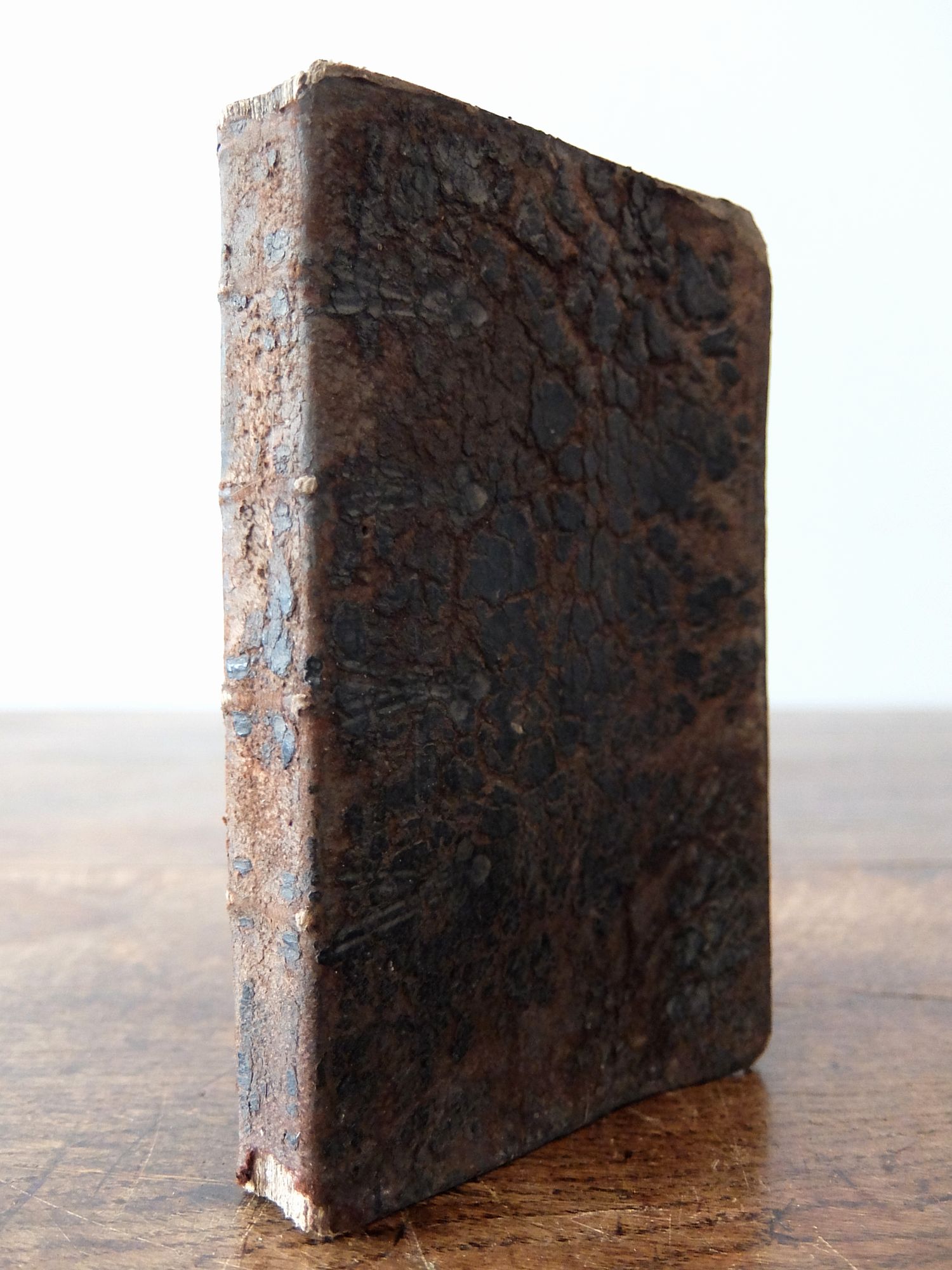 Antique Book (A0222-02)