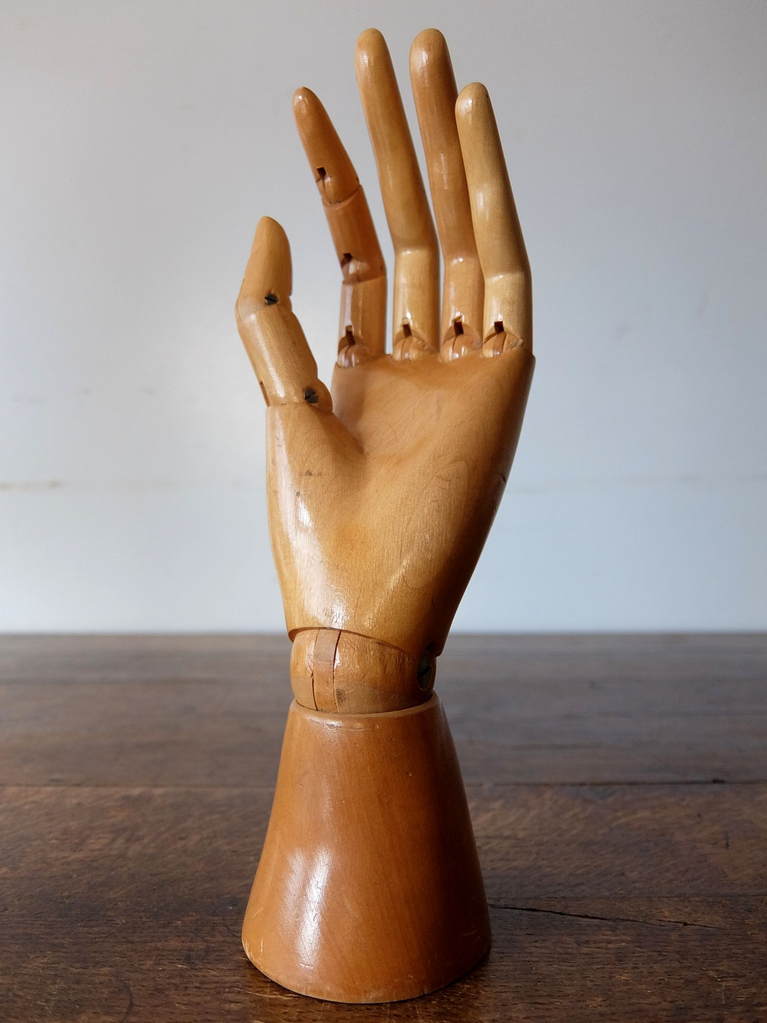 Mannequin's Hand (A1020-01)