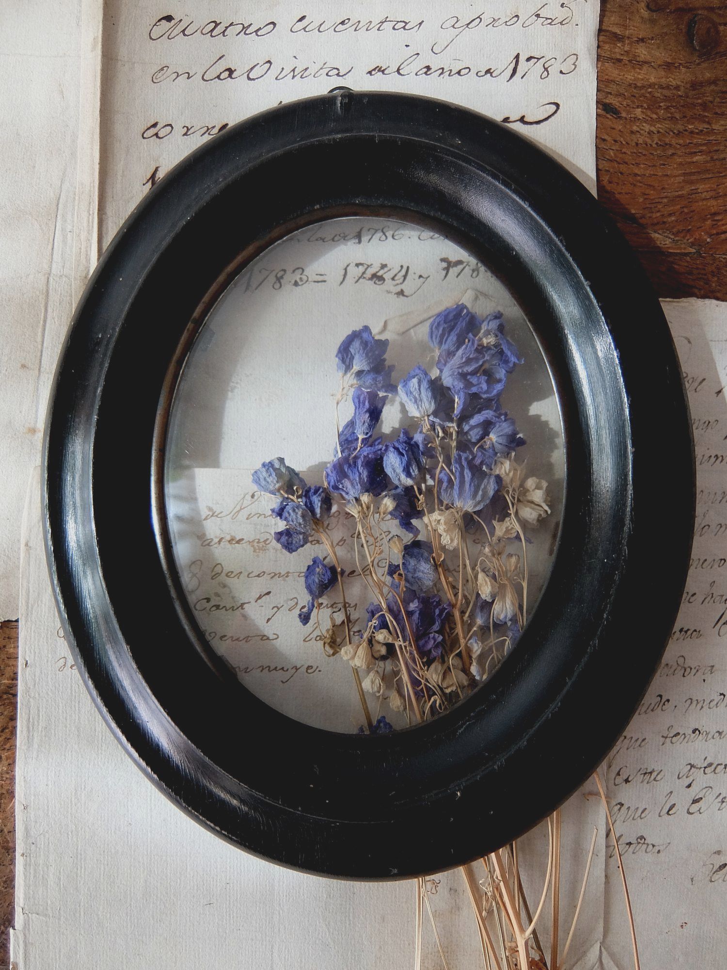 Frame Napoleon Ⅲ　(B0916)