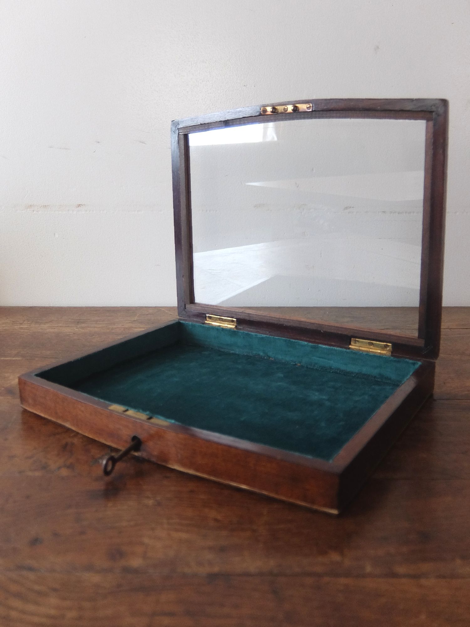 Display Case (A0825)