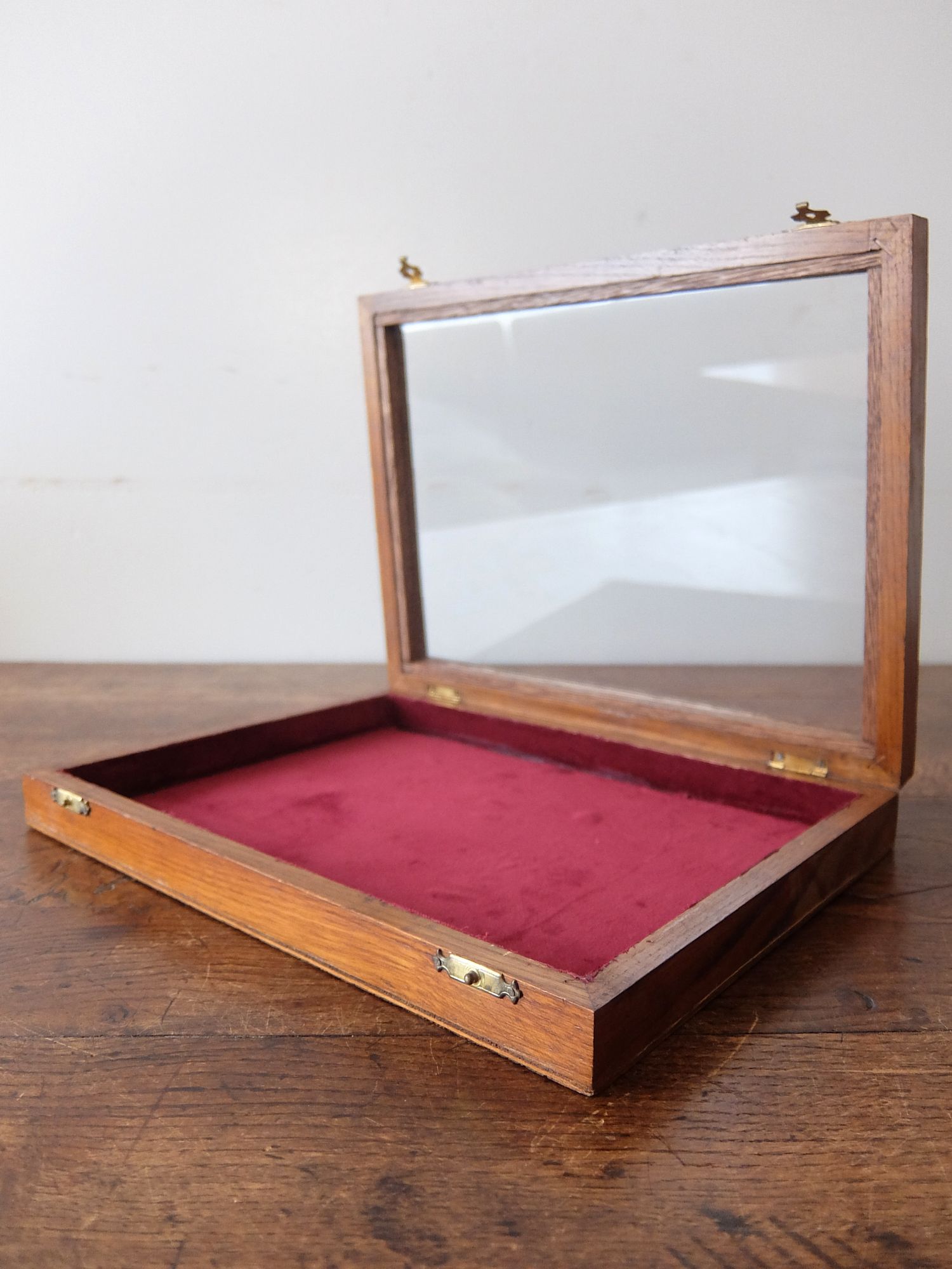 Display Case (B0825)