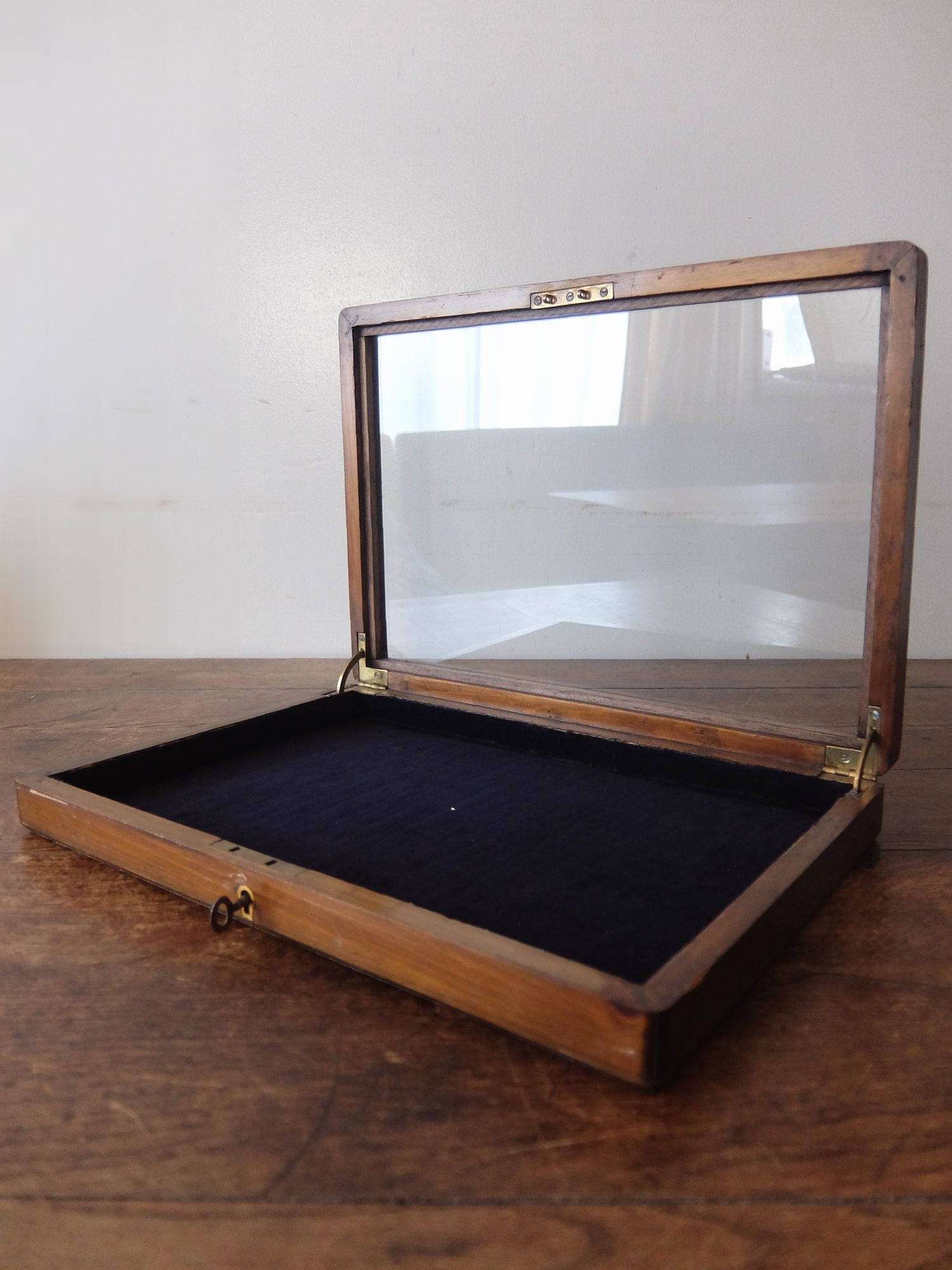 Display Case (C0726-04)