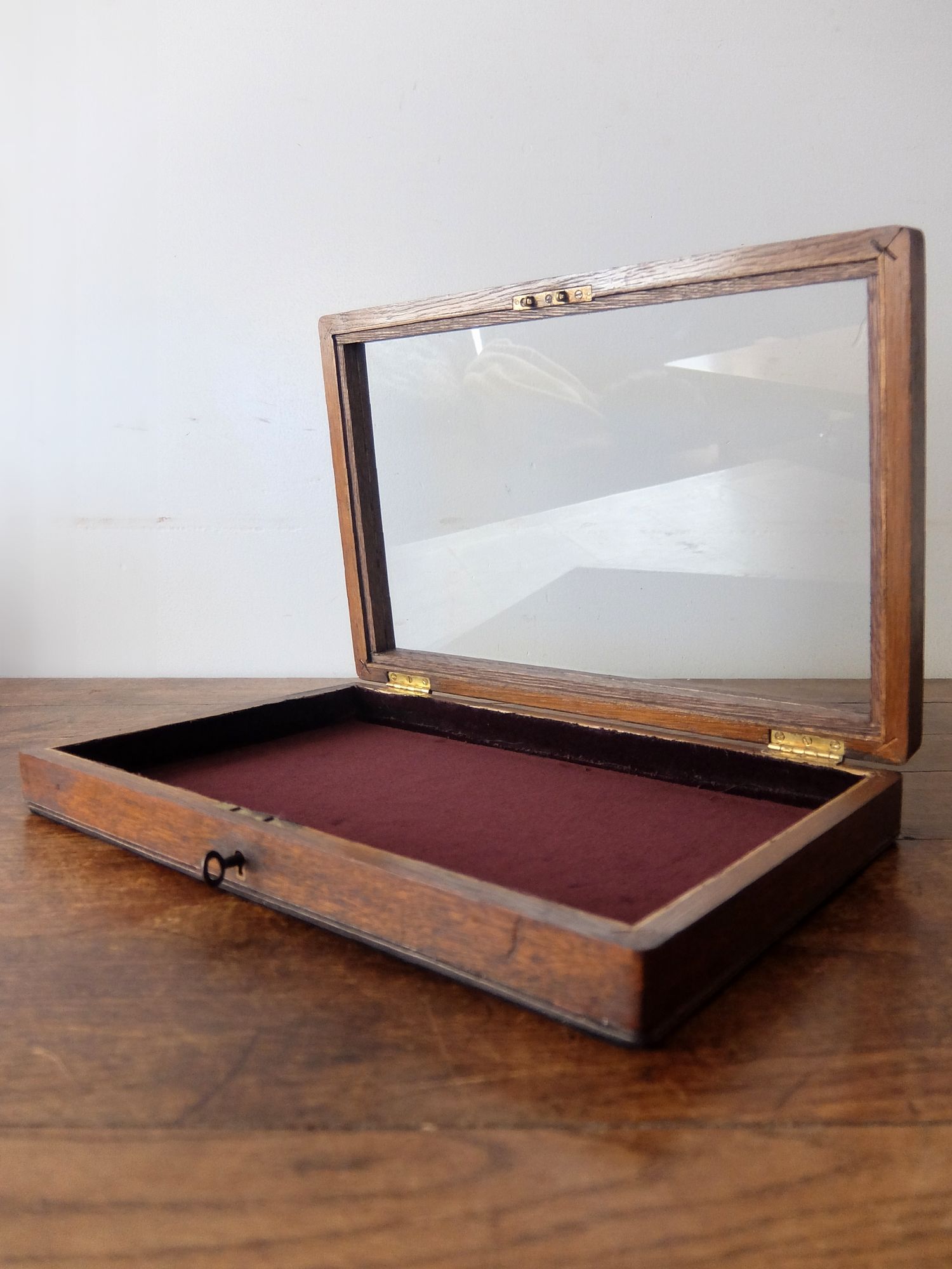 Display Case (C0625)