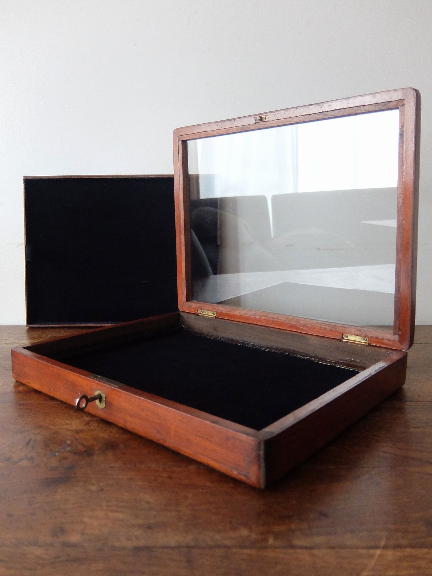 Display Case (B0725)