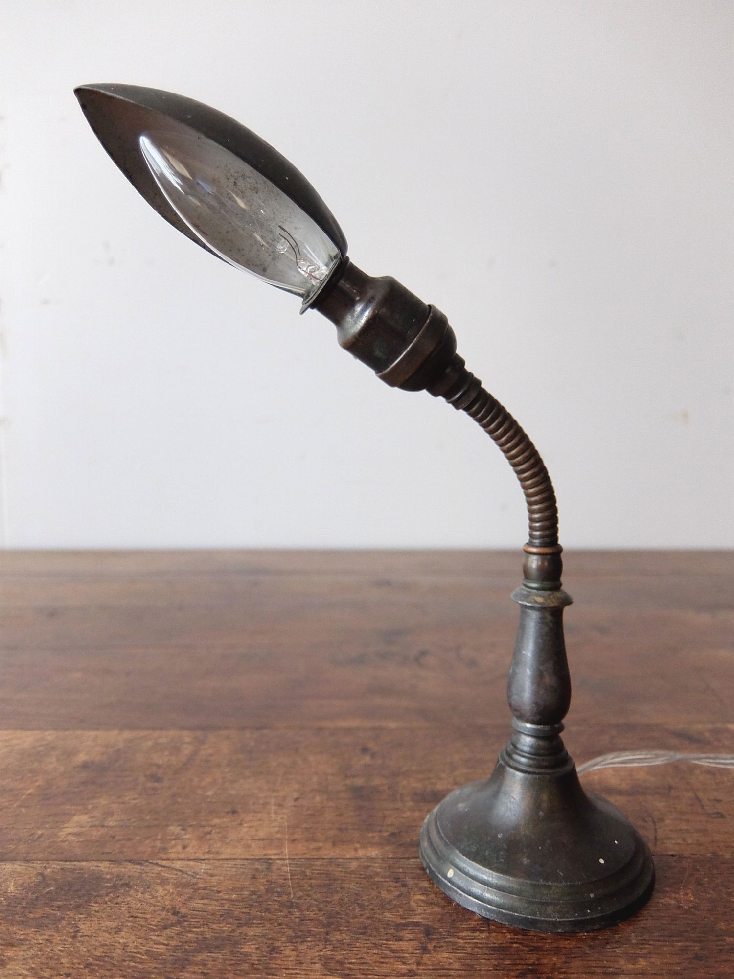Goose Neck Desk Lamp (A0919)