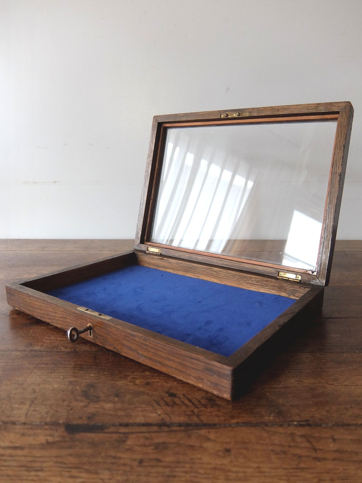 Display Case (A0523)