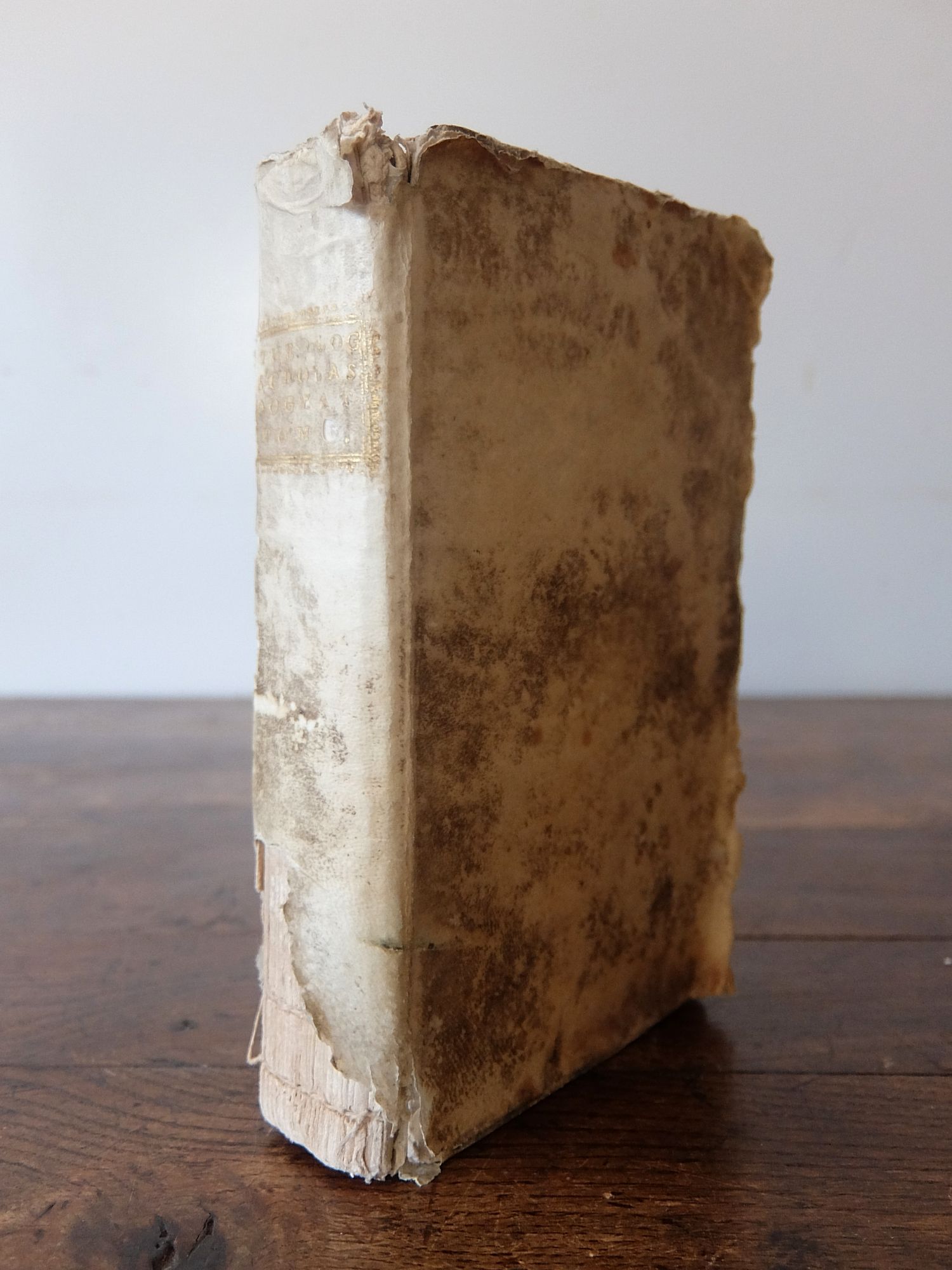 Antique Book (A1014)