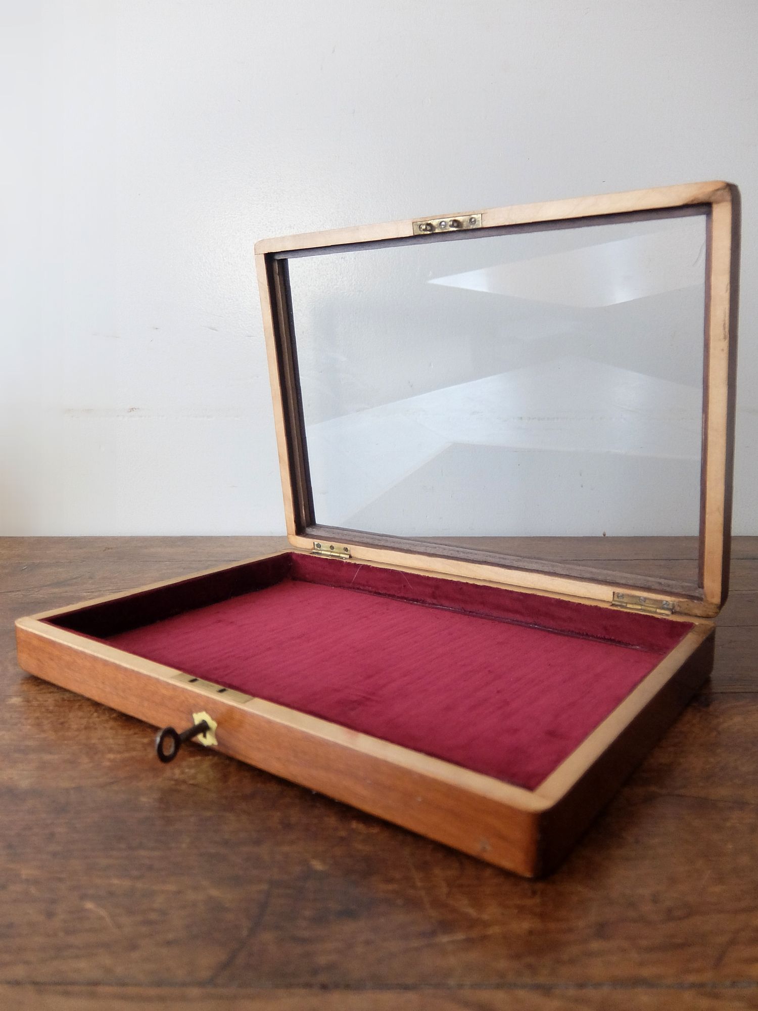 Display Case (C0726-03)