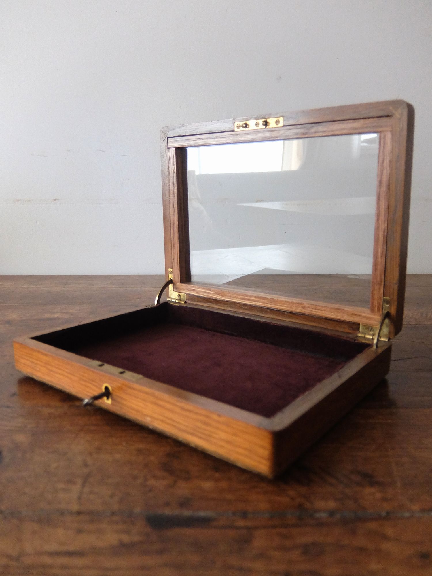 Display Case (C0825-01)