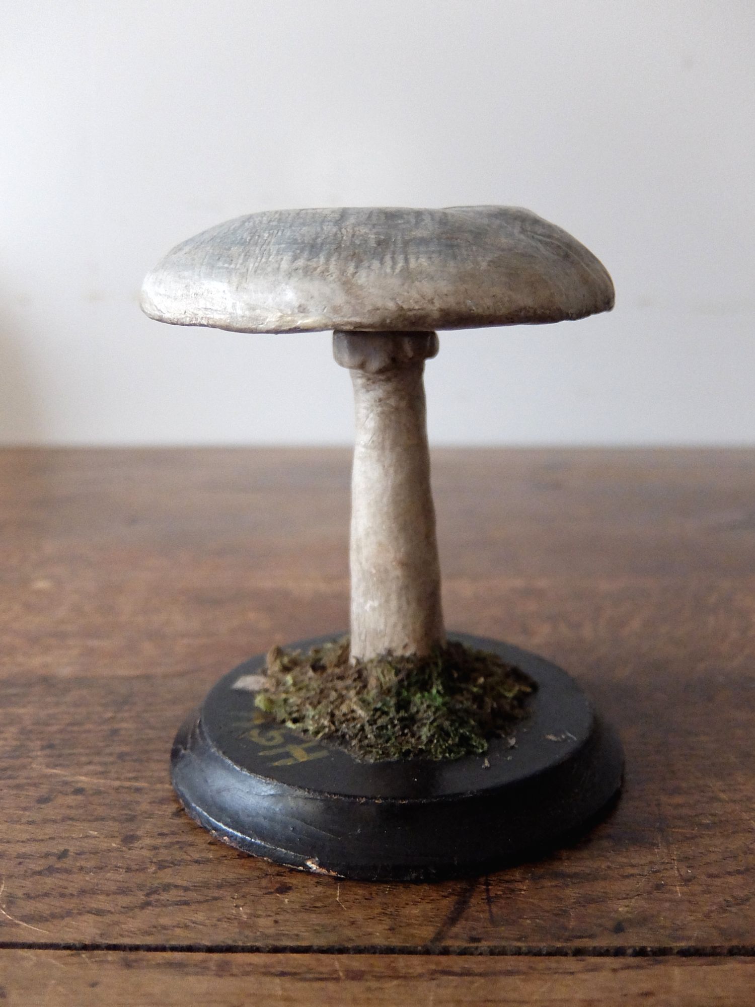 Mushroom Model (A0320-02)