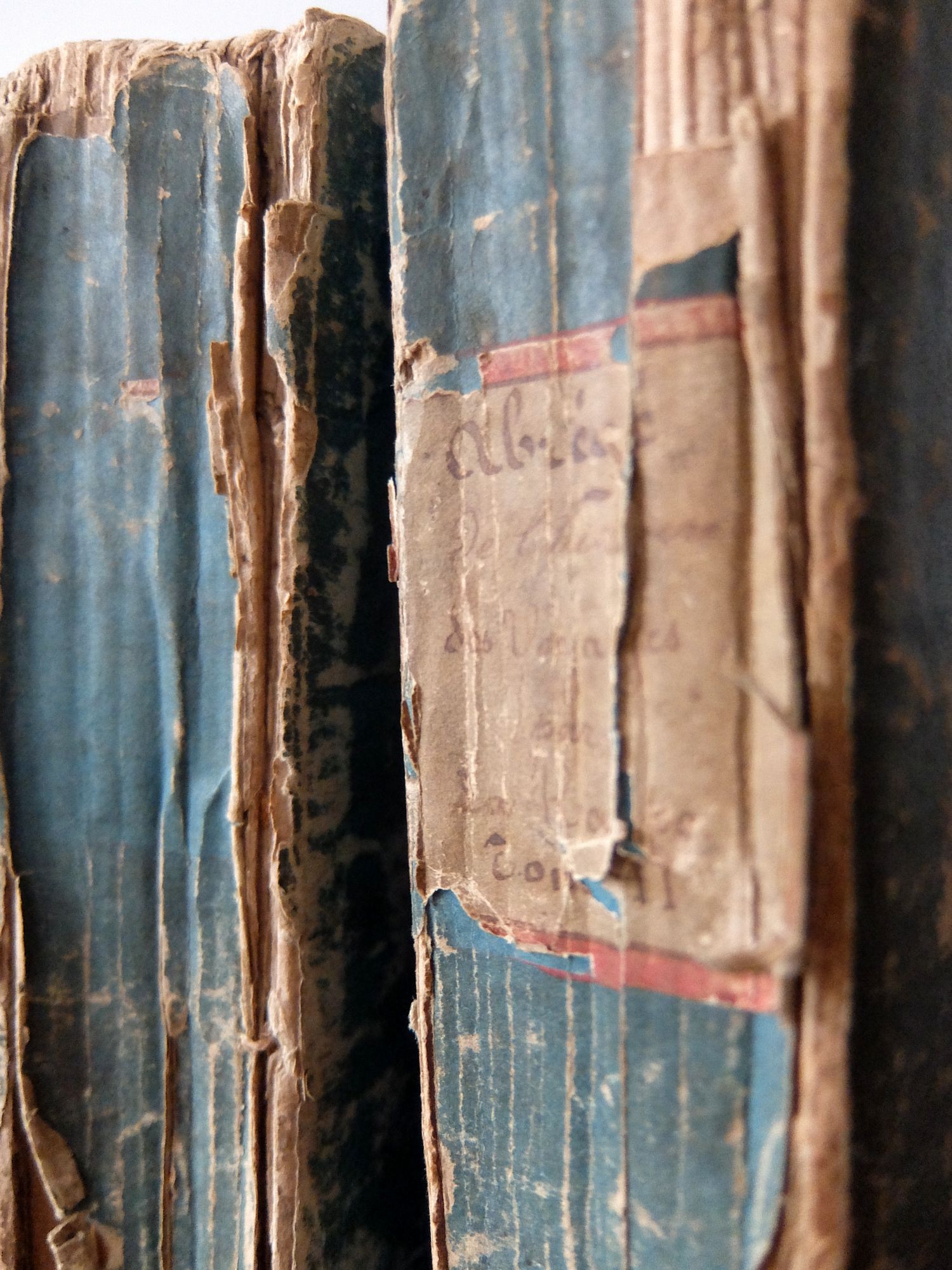 Antique Books 【2 pcs】 (A0925)