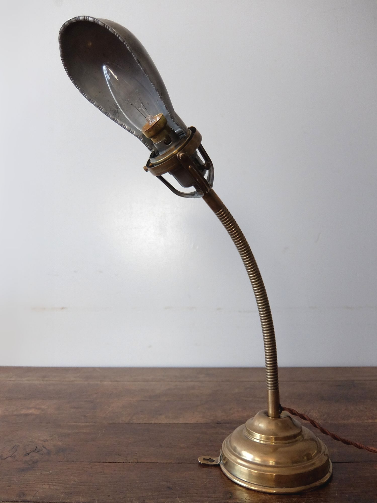 Goose Neck Desk Lamp (A0521)