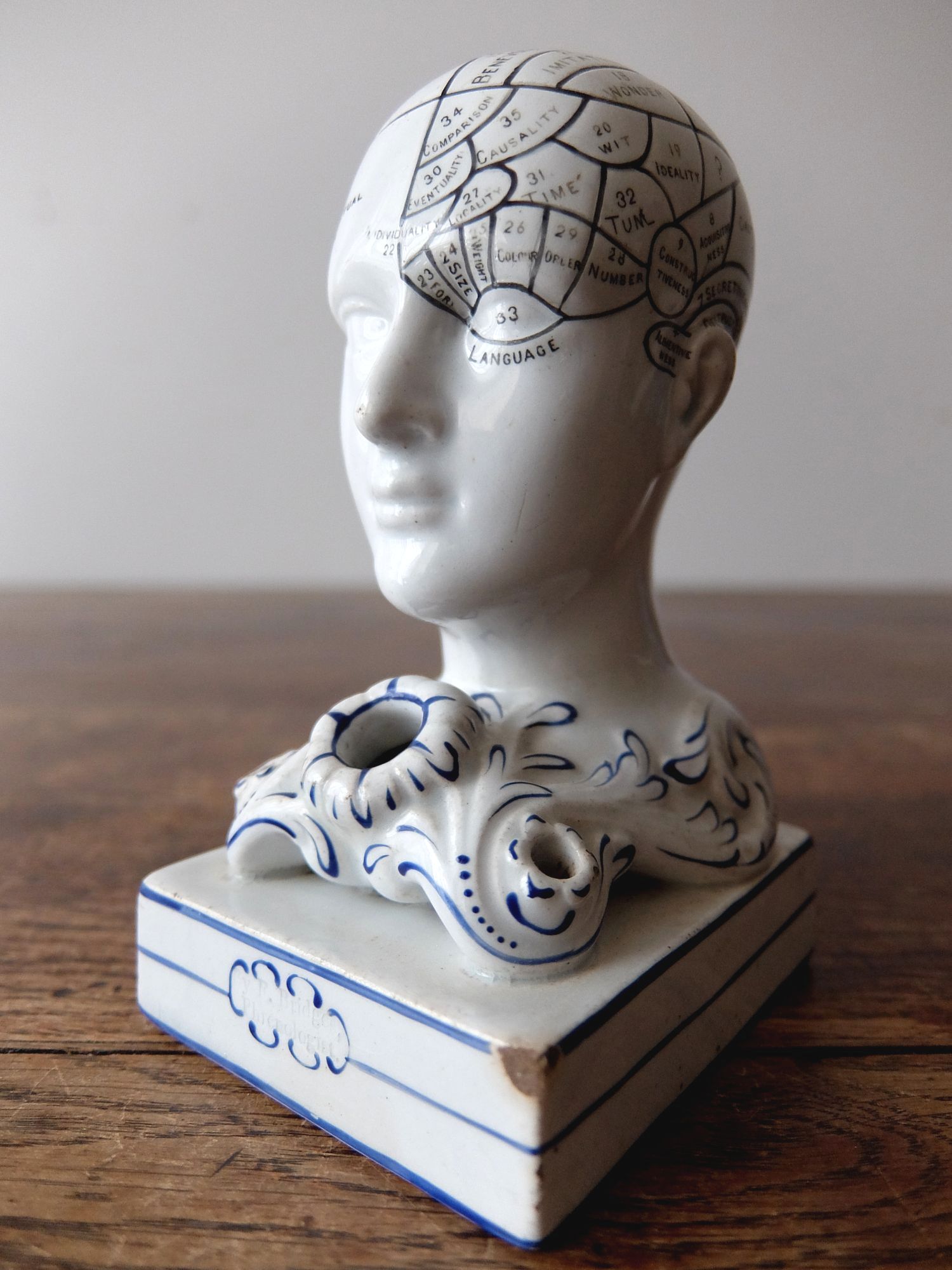 Phrenology Head (A0418)