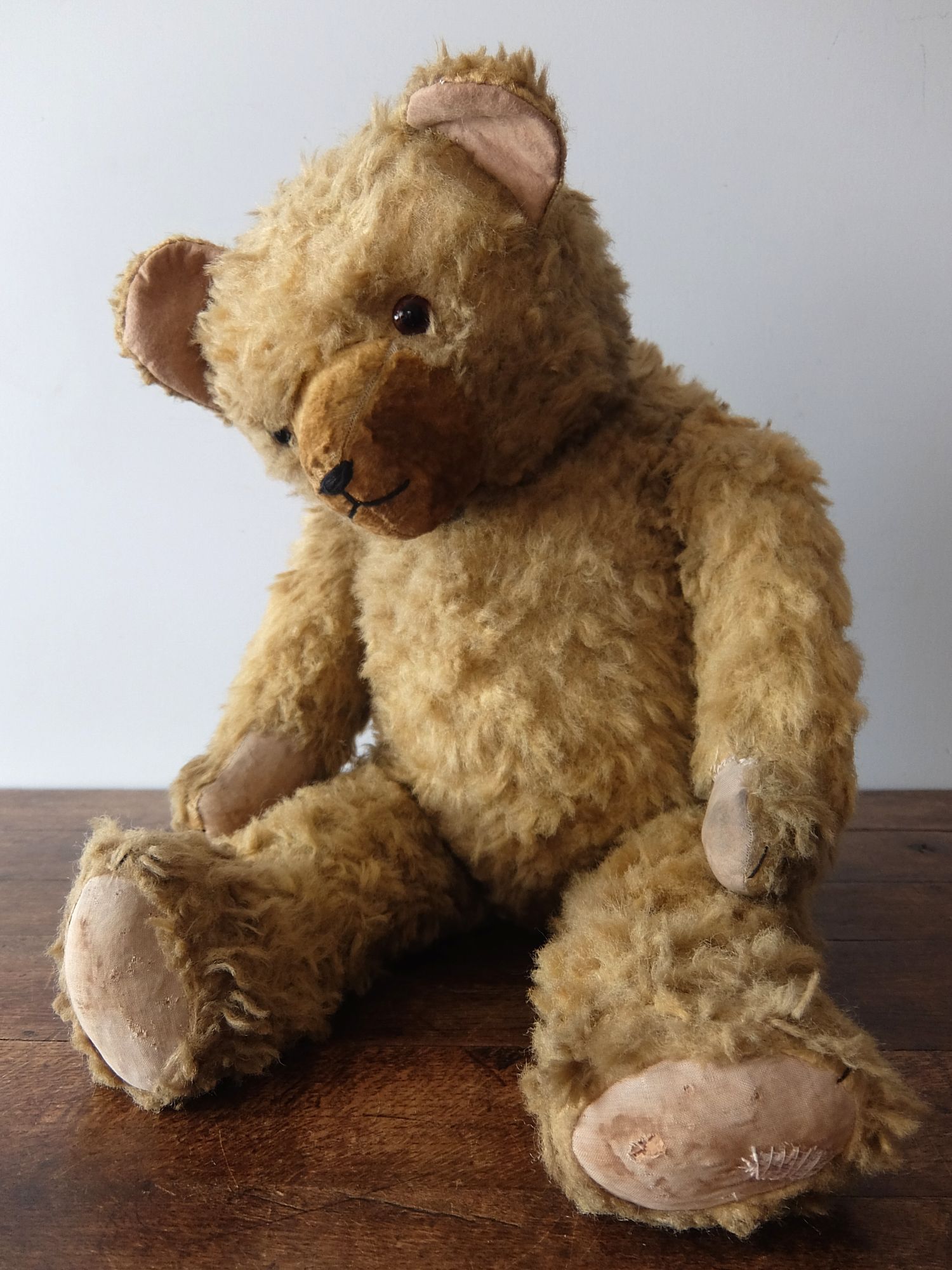 Plush Toy 【Bear】 (A1124-13)